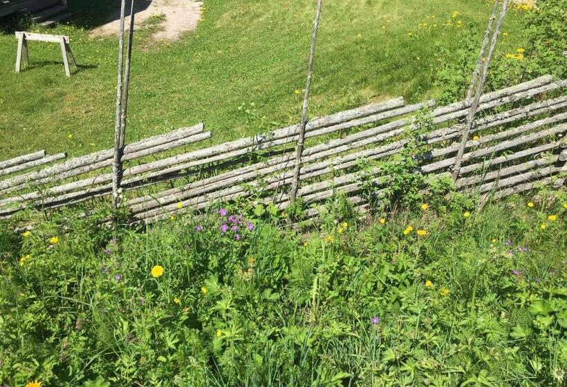 Augustas Bed & Breakfast