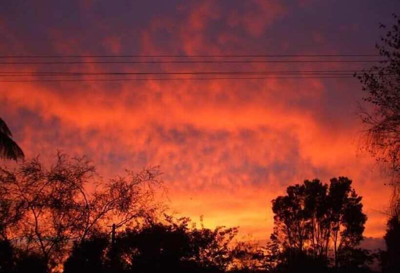 住宿加早餐  Havenlee Homestay