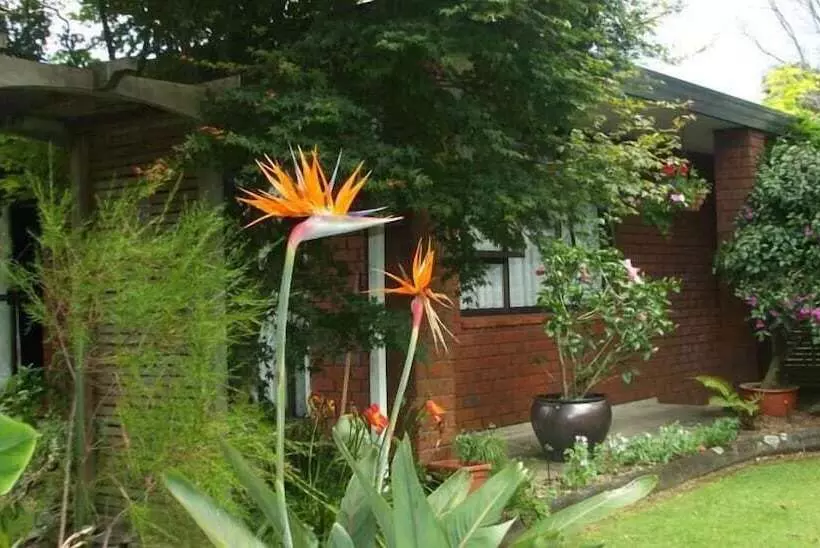 تختخواب و صبحانه Havenlee Homestay