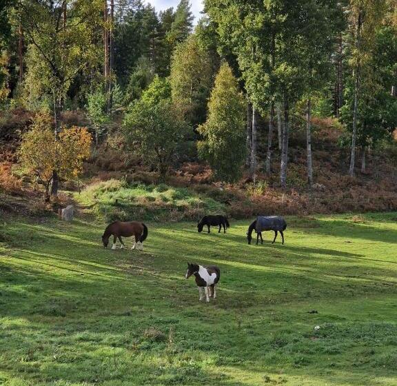 צימר Höhällets Lantliga Rum