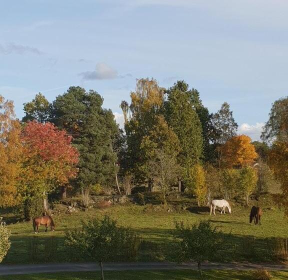 צימר Höhällets Lantliga Rum