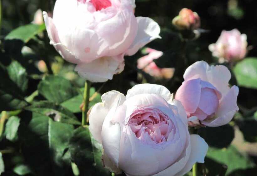 هتل L Turistgården I Simrishamn