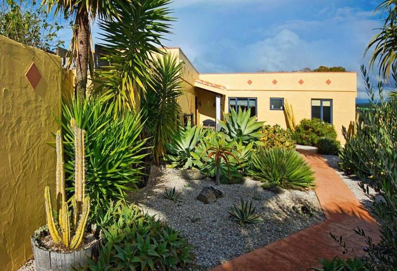 Mapua Hills Studio Bed And Breakfast