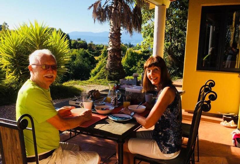 Mapua Hills Studio Bed And Breakfast