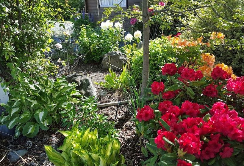 Marie Therese Bed & Breakfast