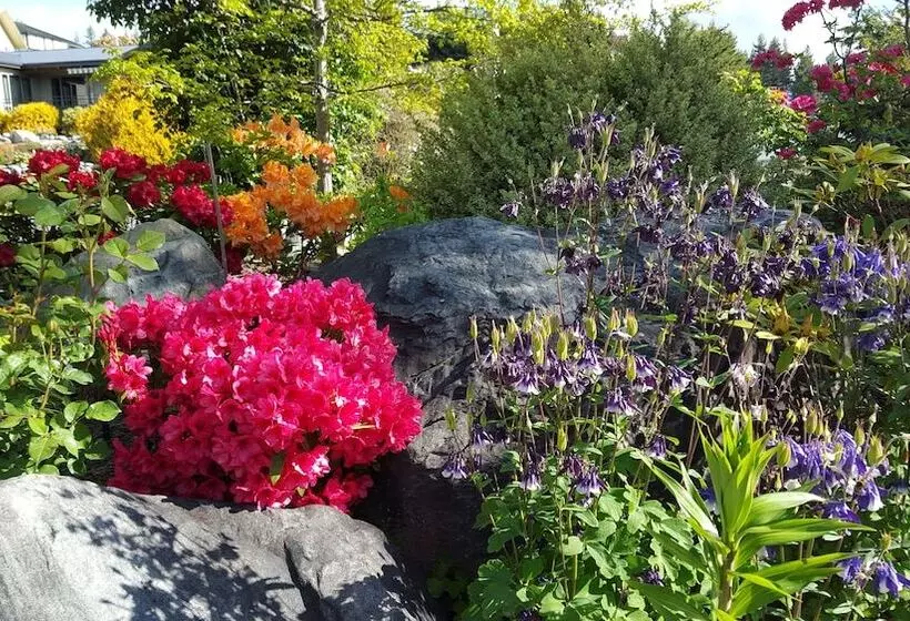 Marie Therese Bed & Breakfast