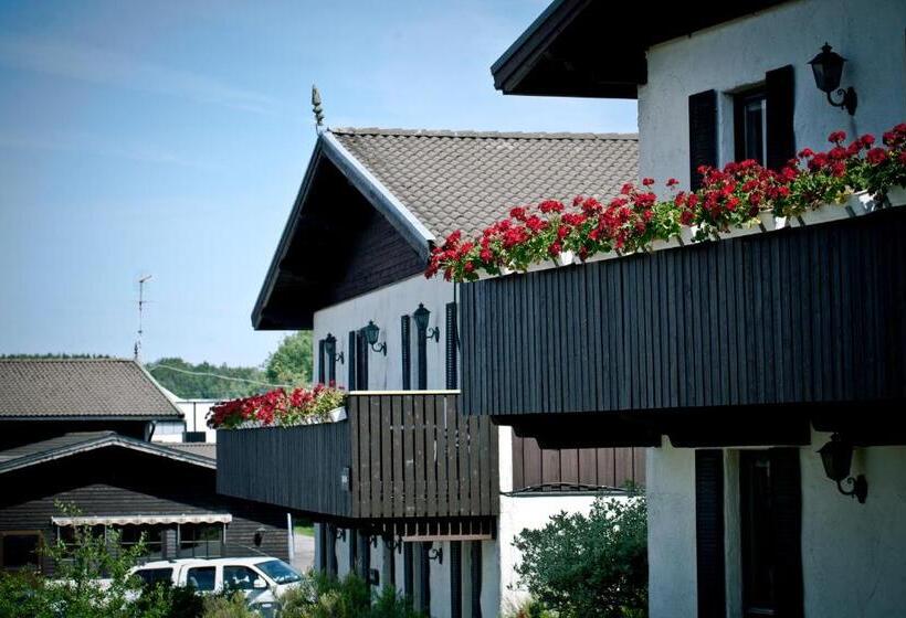 מוטל Rasta Håby