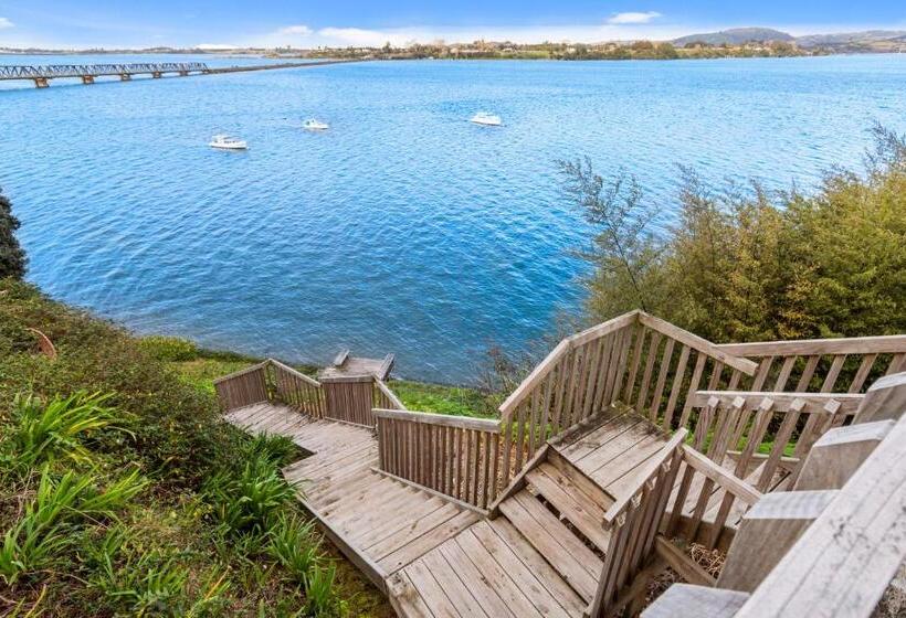 فندق على الطريق The Tauranga On The Waterfront