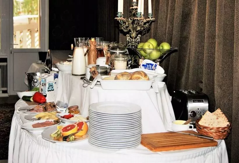 Palace Hotell