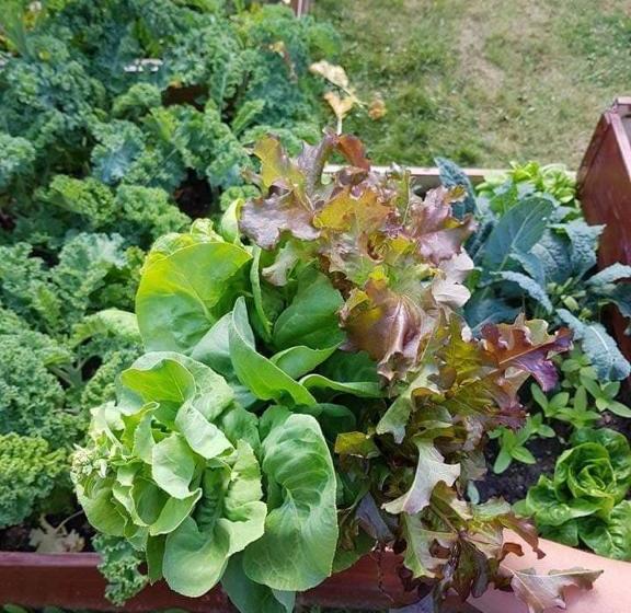 Stf Glasbruket Hostel & Apartments