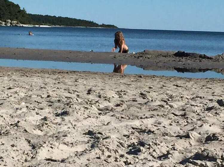 Stf Hostel Lärbro/grannen