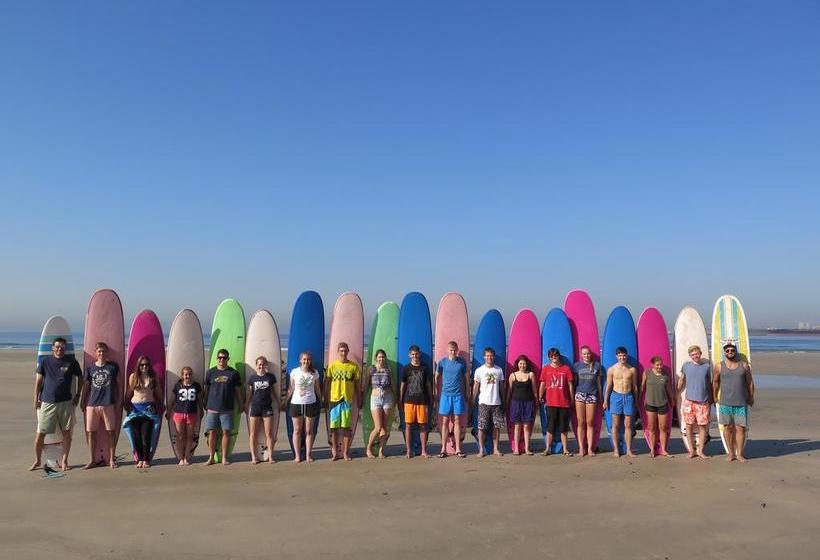 Surfivor Porto Surf Hostel