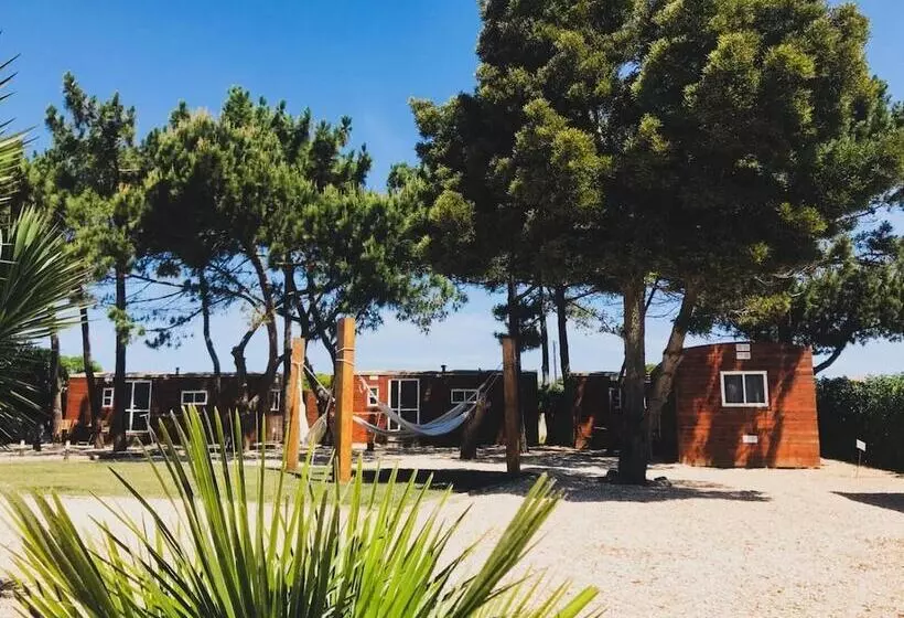 The Lighthouse Hostel