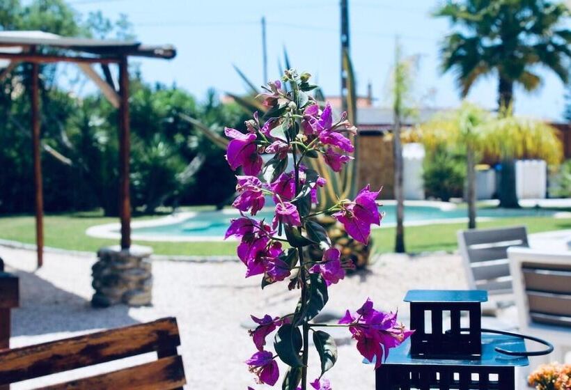 The Lighthouse Hostel