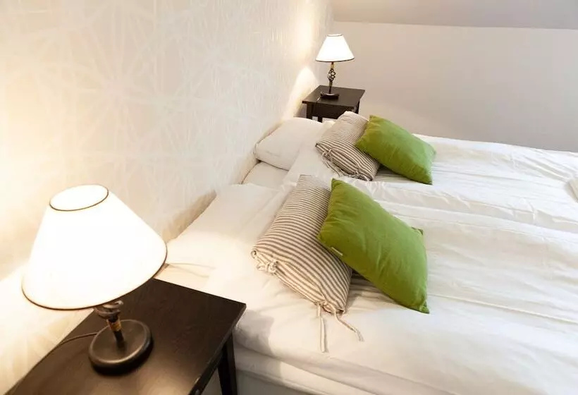 Wisingsö Hotell