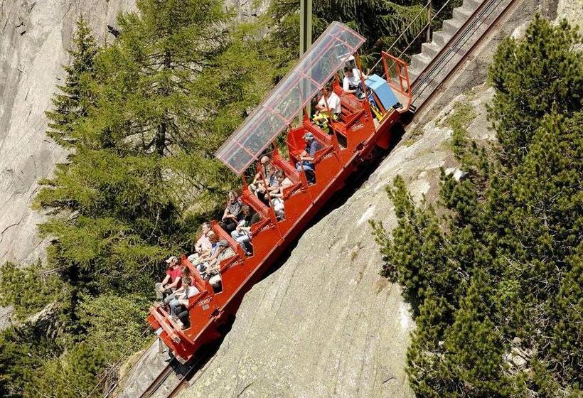 Herberge Hasli Lodge