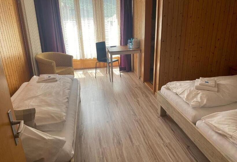 Herberge Hasli Lodge