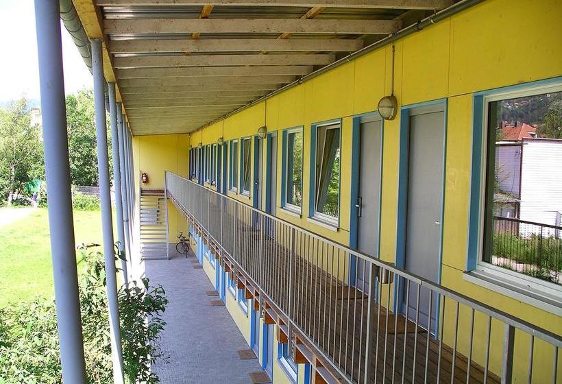 Swiss Hostel Lago Lodge