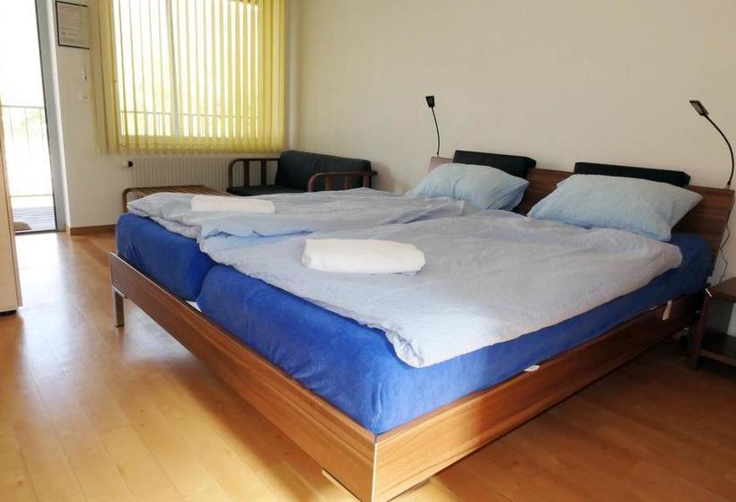 Swiss Hostel Lago Lodge
