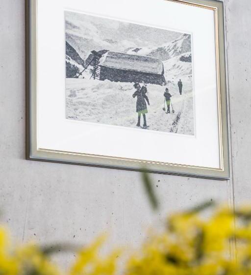 ユースホステル Nova Casa Spinatscha Sedrun