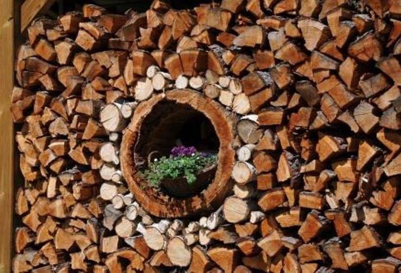 Vandrarhem Pensiun Trais Piz