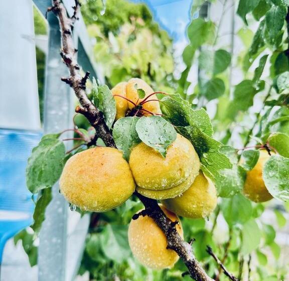 민박 Bed Bike And Breakfast Olten