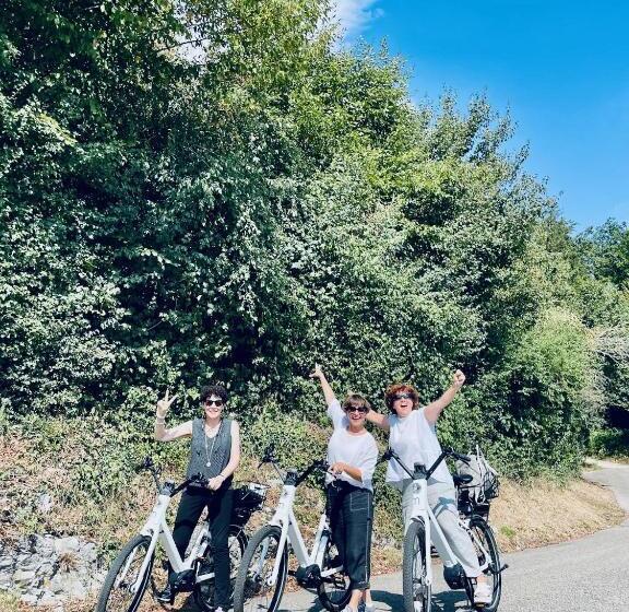 민박 Bed Bike And Breakfast Olten