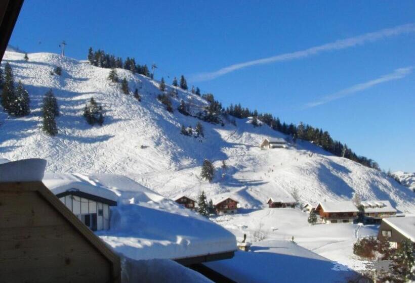 Caschu Alp Boutique Design Hotel Stoos   Adults Only