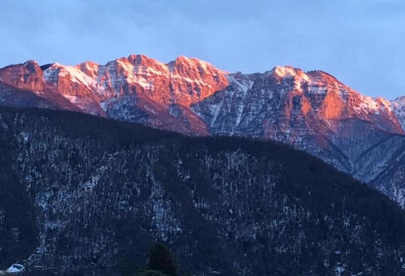 酒店 Al Boccalino Bed&breakfast