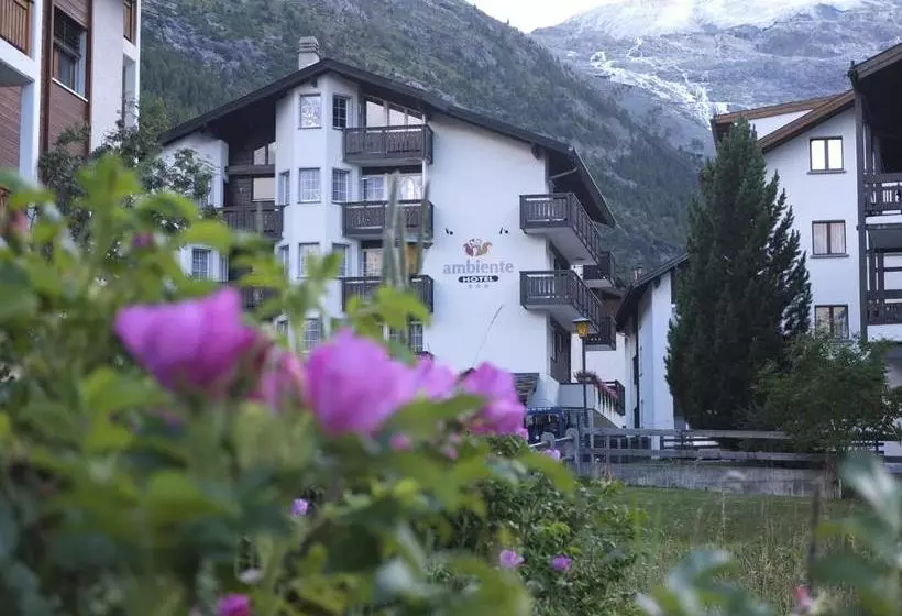Hôtel Ambiente