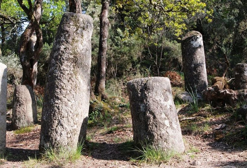 ホテル Carvalho Araujo