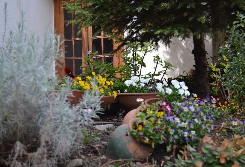 ホテル Carvalho Araujo