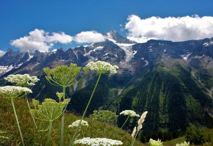 ホテル Petersgrat