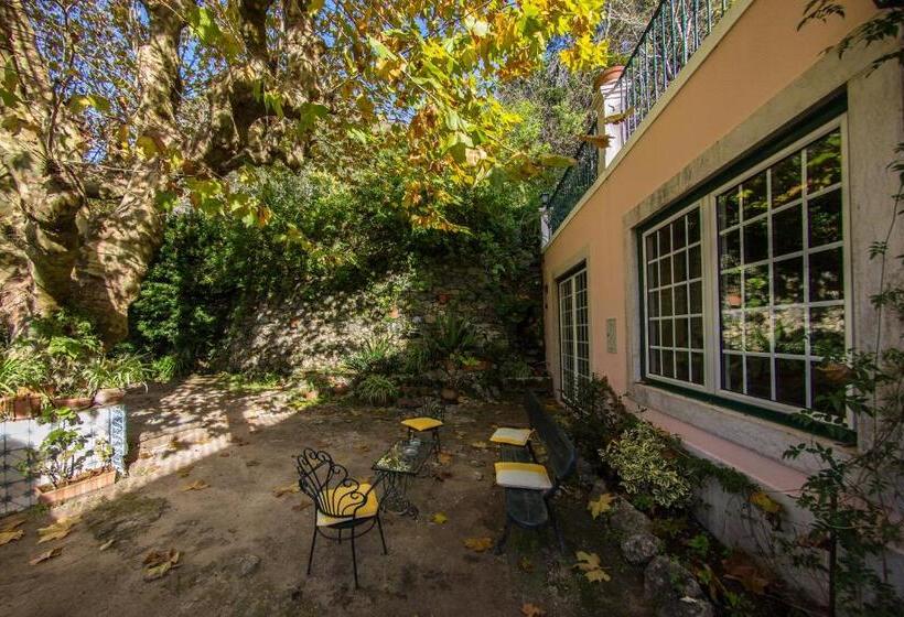 فندق Sintra Jardim