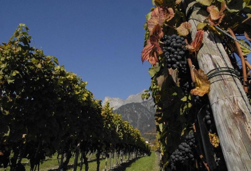 Victor's Bed & Breakfast