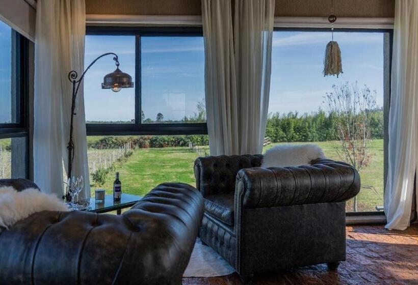 Bed & Breakfast Las Magnolias Bodega Boutique