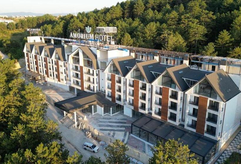 Amorium Hotel & Wooden Stone House