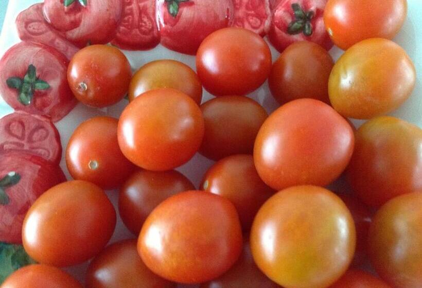 B&b Winterresidentie