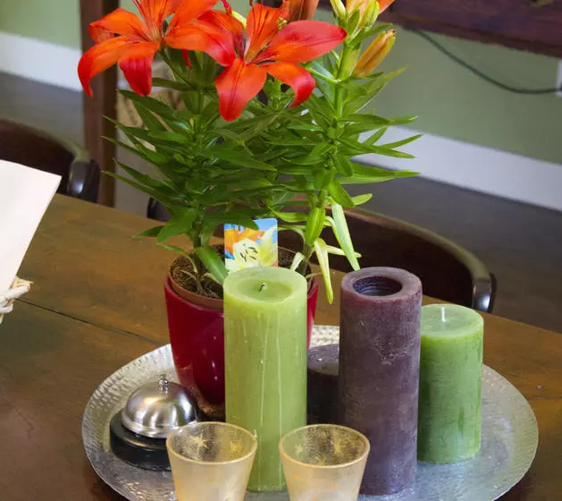 Bed And Breakfast De Grote Byvanck