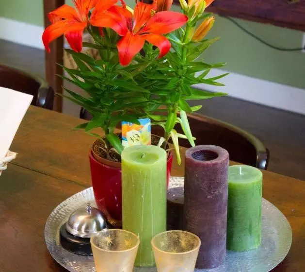 Bed And Breakfast De Grote Byvanck