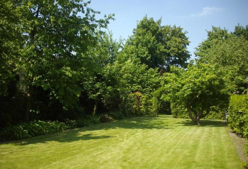 Bed And Breakfast De Grote Byvanck