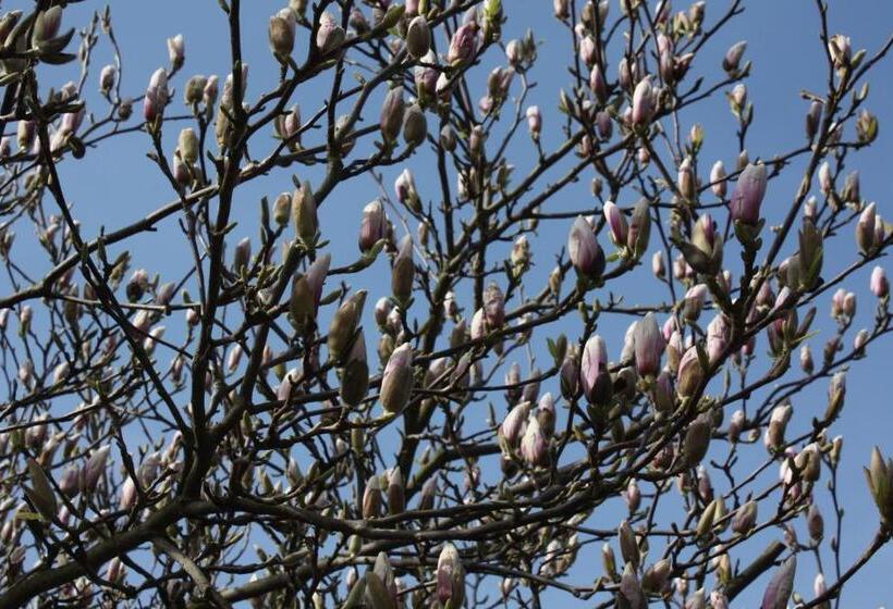 تختخواب و صبحانه Magnolia Appartement