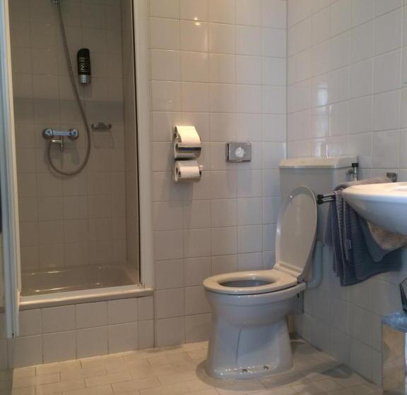 Отель De Blauwe Vogel