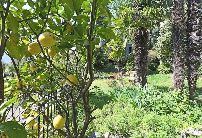 Pansiyon Peace Over The Lake Rooms Happy Rentals