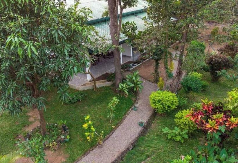 Habarana Tamarind Resort By Travel Squad