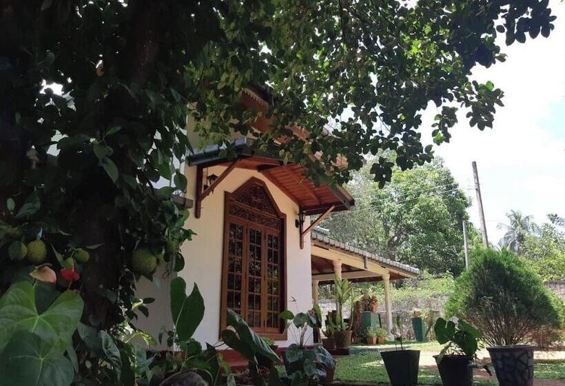 Habarana Tamarind Resort By Travel Squad