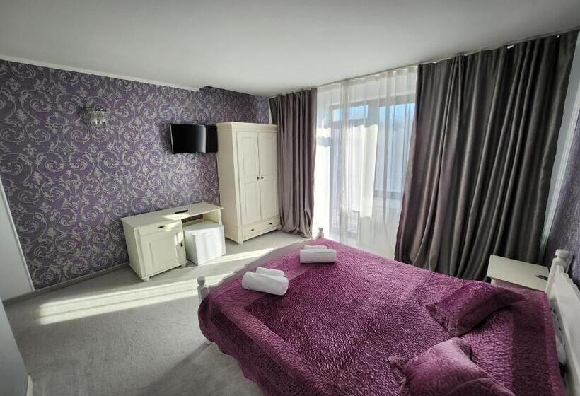 پانسیون Conacul Voievozilor