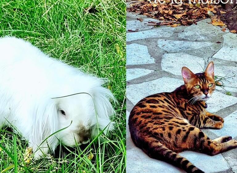 펜션 La Campagne à Paris