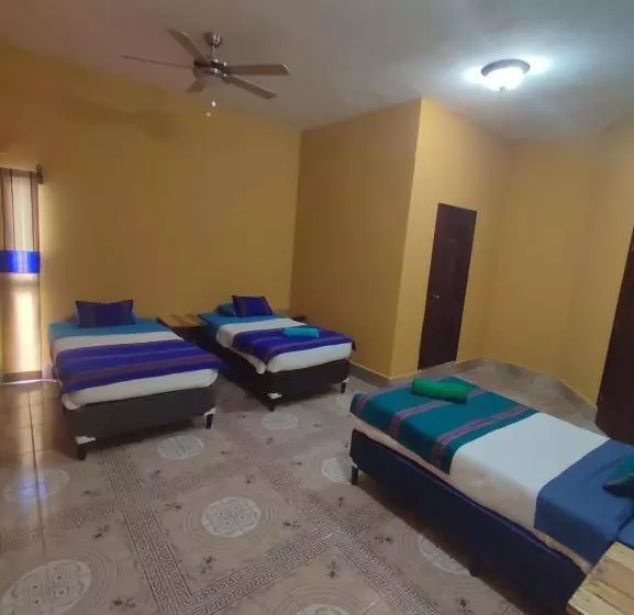 هاستل La Casa Colorada