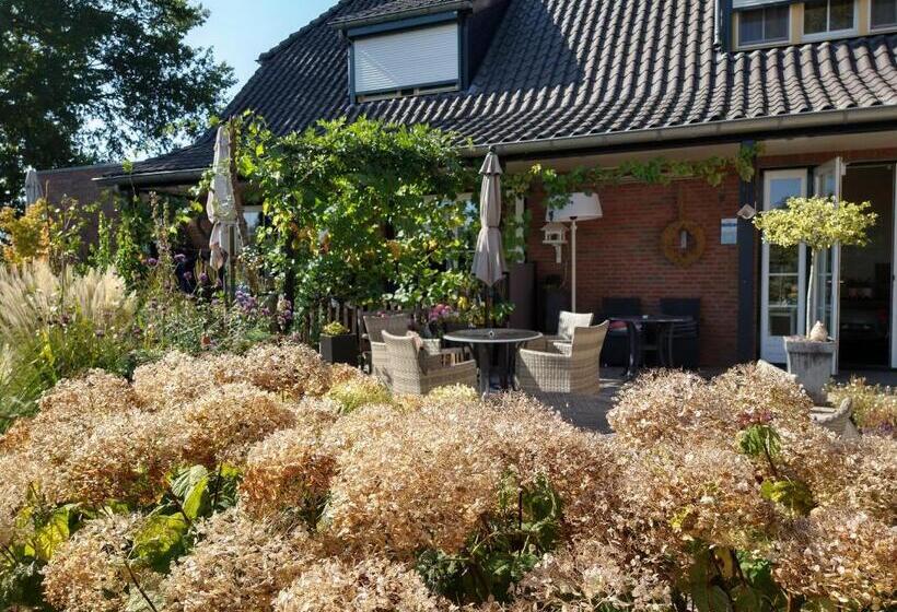 B&b Hotel De Joremeinshoeve